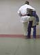 sumi gaeshi judo